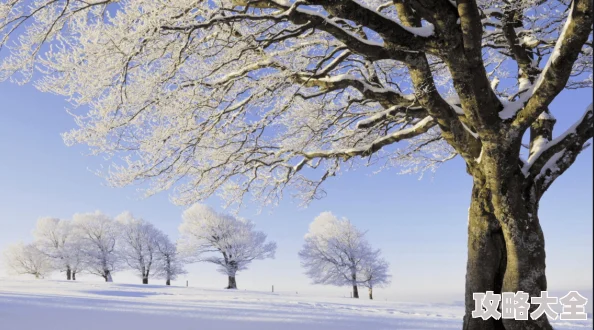 白荆回廊雪长夏景象揭秘：四季风光大赏